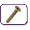 PEEK® countersunk screw [181] (181030670409)