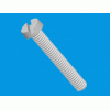 Slotted cheese head screw [536] (536029000002)