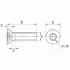 Countersunk torx screw [350-m] (350020541553)